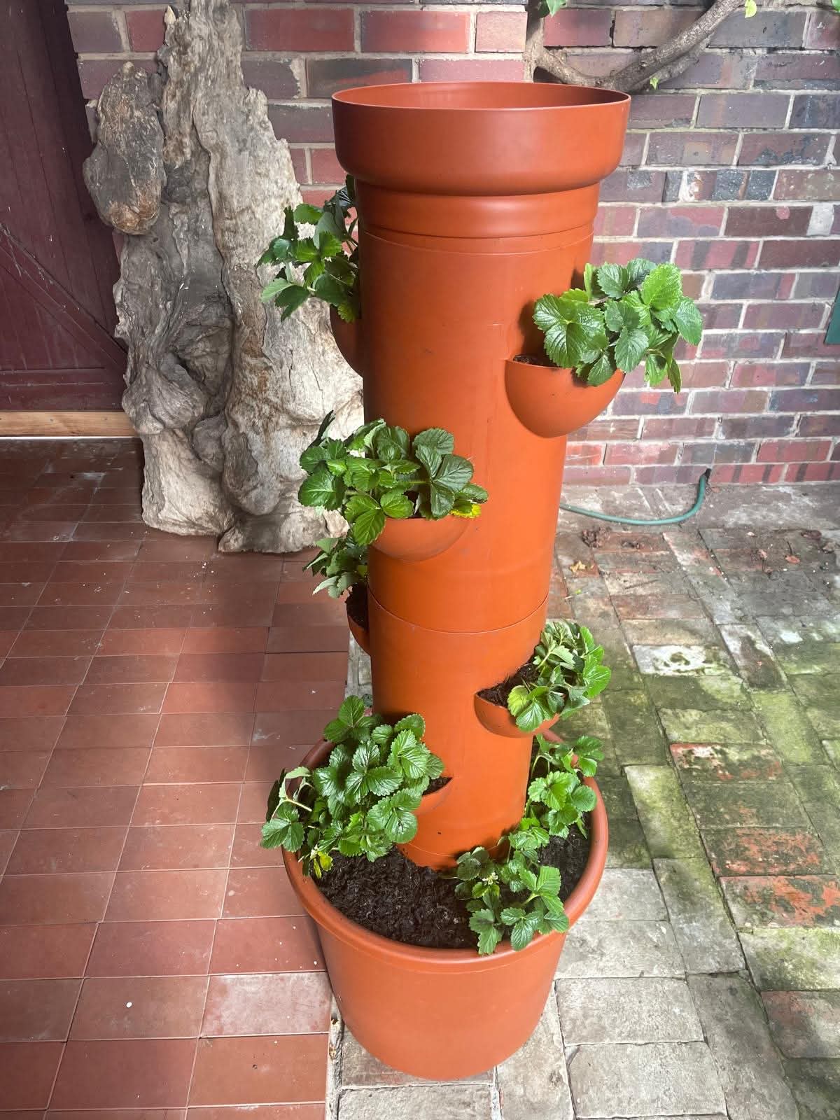 Assembled Nati Visions Planter Tower in courtyard patio setting filled with strawberries and mint